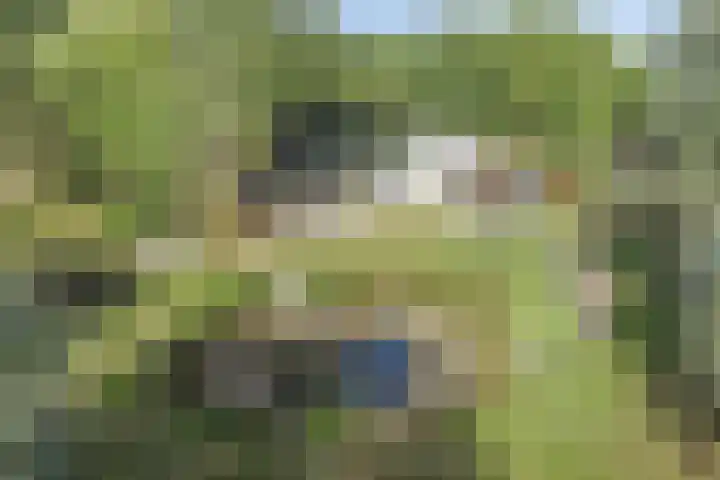 Driehuizerweg 10 Reek thumbnail 69