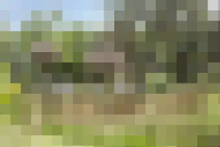 Driehuizerweg 10 Reek thumbnail 70