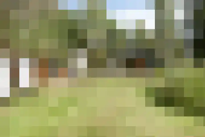 Driehuizerweg 10 Reek thumbnail 71
