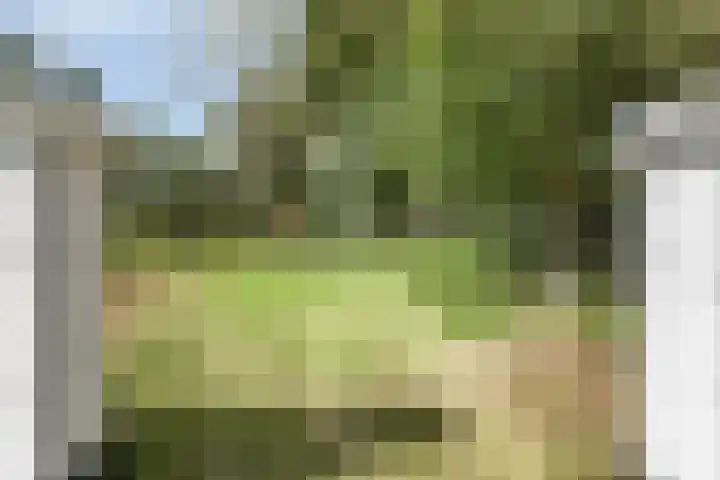 Driehuizerweg 10 Reek thumbnail 72