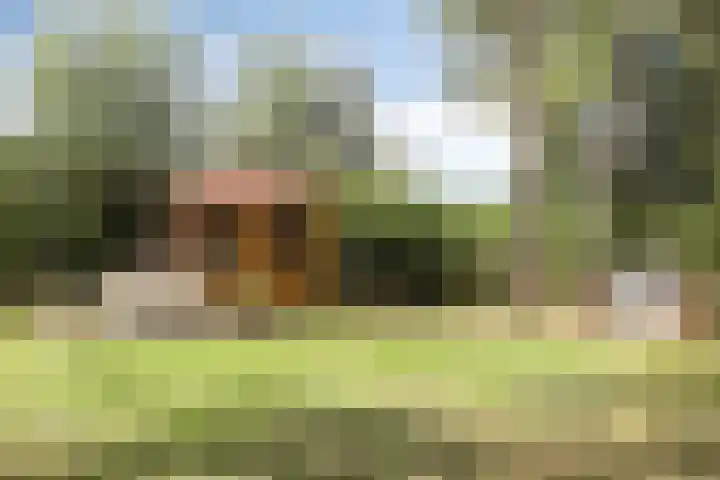 Driehuizerweg 10 Reek thumbnail 73