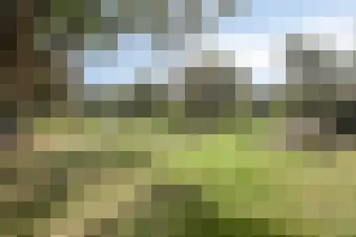 Driehuizerweg 10 Reek thumbnail 74