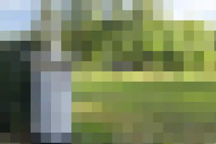 Driehuizerweg 10 Reek thumbnail 75
