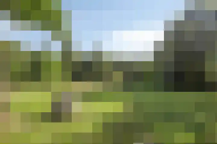 Driehuizerweg 10 Reek thumbnail 76