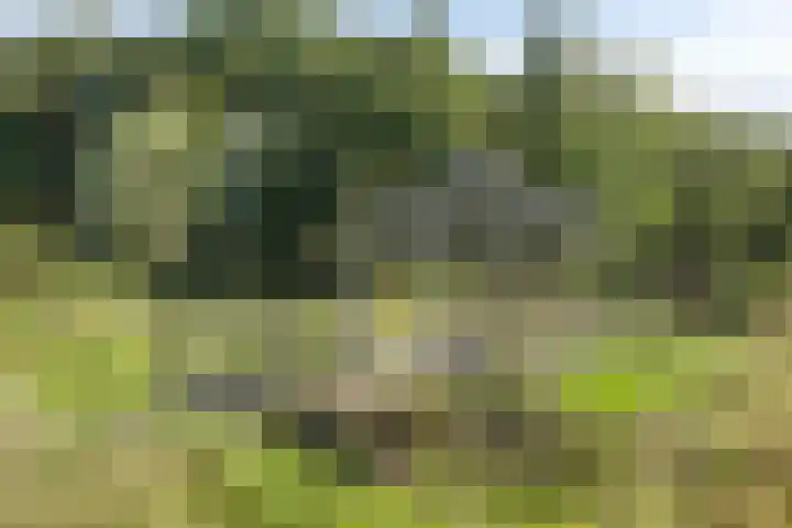 Driehuizerweg 10 Reek thumbnail 77