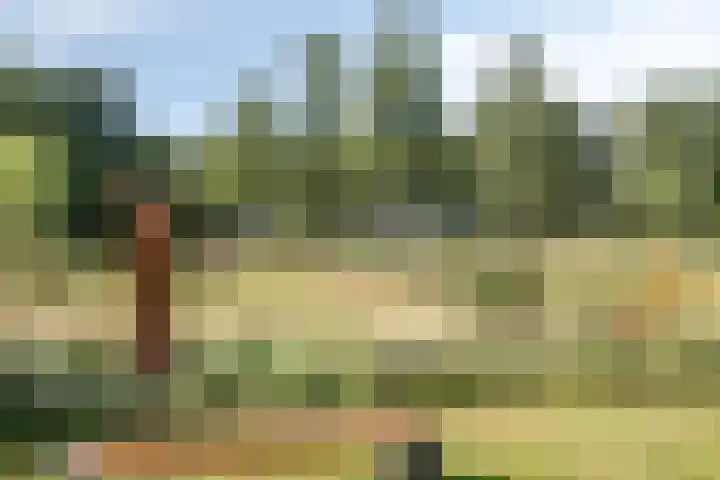 Driehuizerweg 10 Reek thumbnail 78
