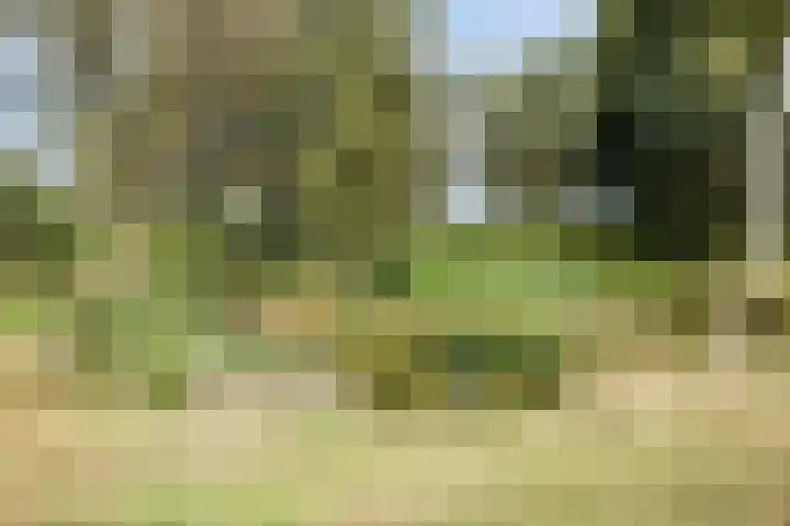 Driehuizerweg 10 Reek thumbnail 79