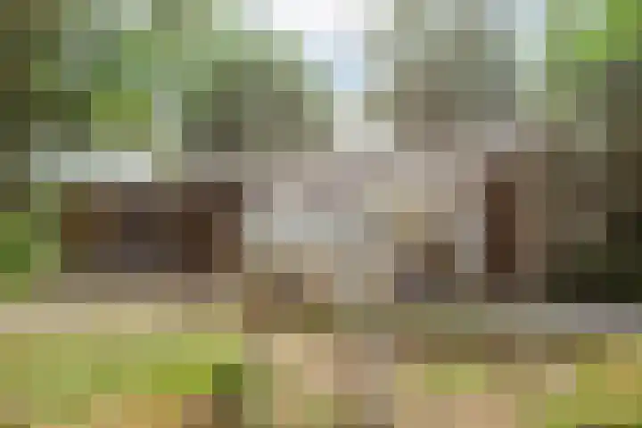 Driehuizerweg 10 Reek thumbnail 82