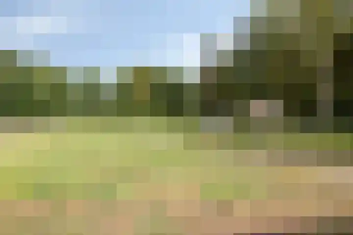 Driehuizerweg 10 Reek thumbnail 83