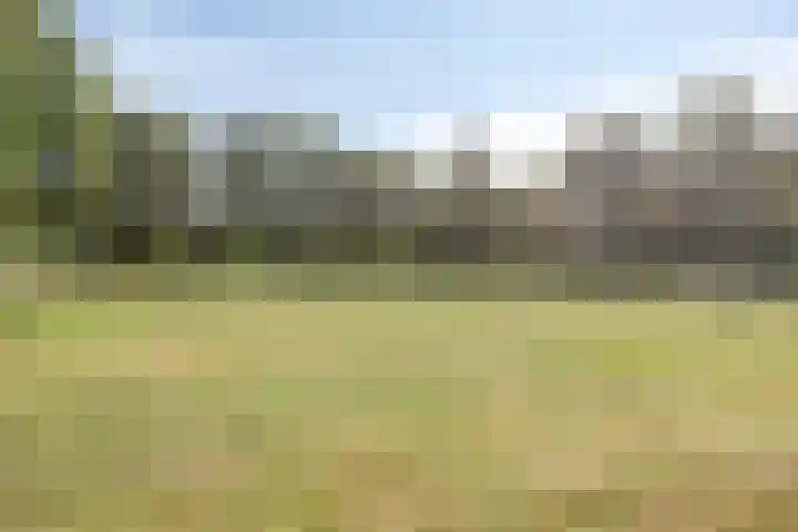 Driehuizerweg 10 Reek thumbnail 84