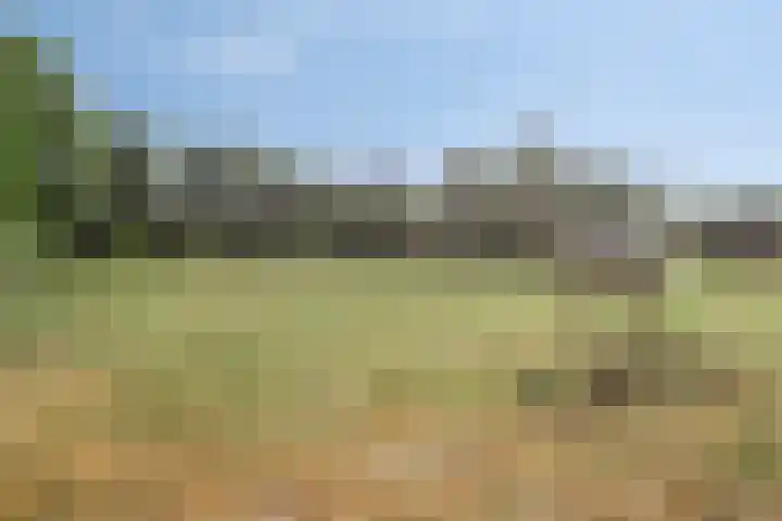 Driehuizerweg 10 Reek thumbnail 85