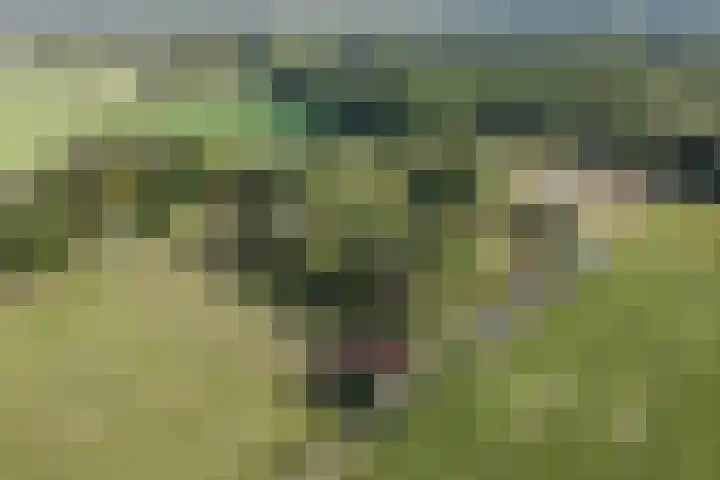 Driehuizerweg 10 Reek thumbnail 86