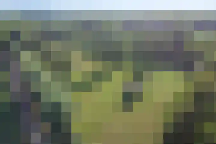 Driehuizerweg 10 Reek thumbnail 87