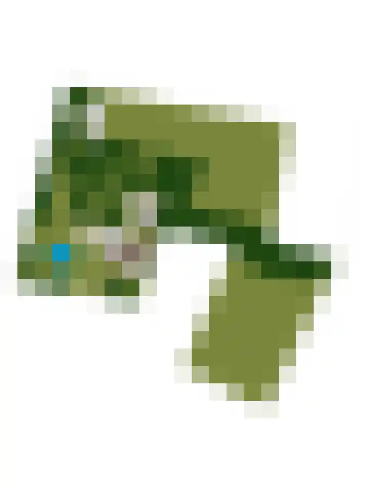 Driehuizerweg 10 Reek thumbnail 88