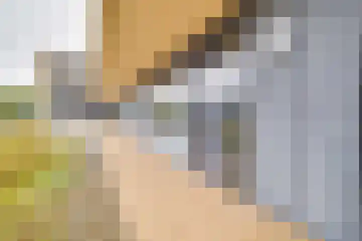 Driehuizerweg 124 Apeldoorn thumbnail 24