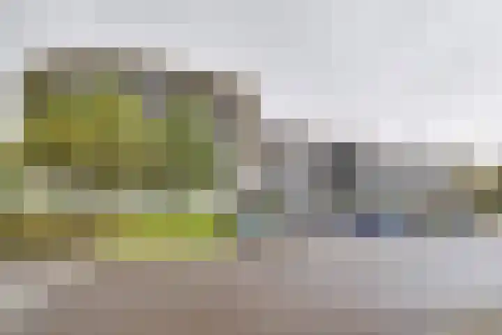 Driehuizerweg 124 Apeldoorn thumbnail 34