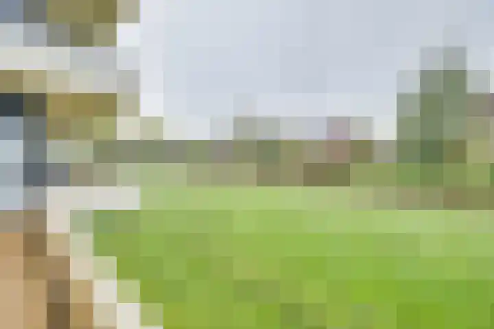Driehuizerweg 124 Apeldoorn thumbnail 7