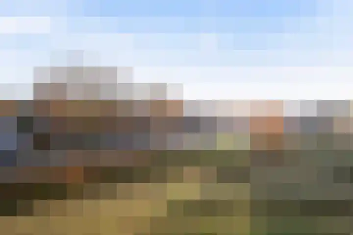 Driehuizerweg 190 Apeldoorn thumbnail 12