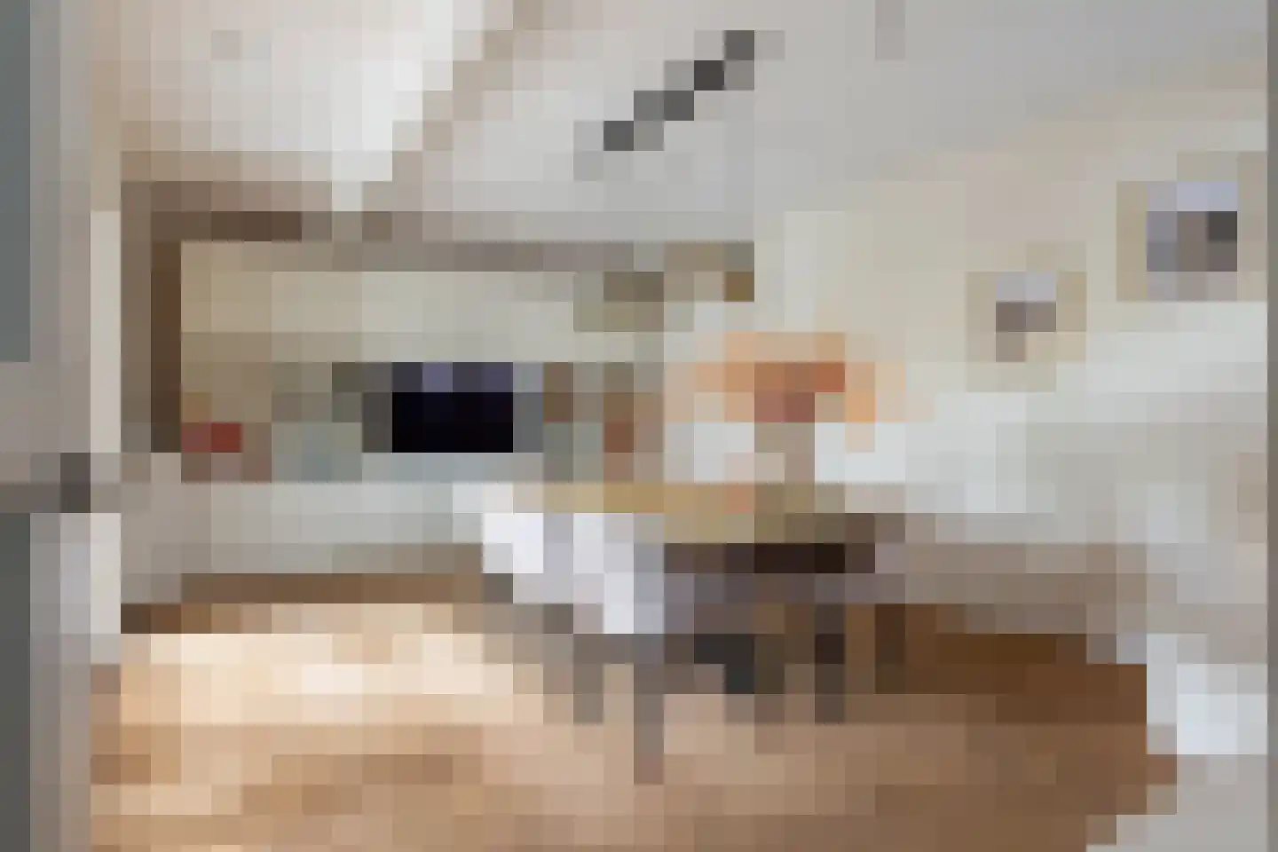 Driehuizerweg 21 Apeldoorn thumbnail 12
