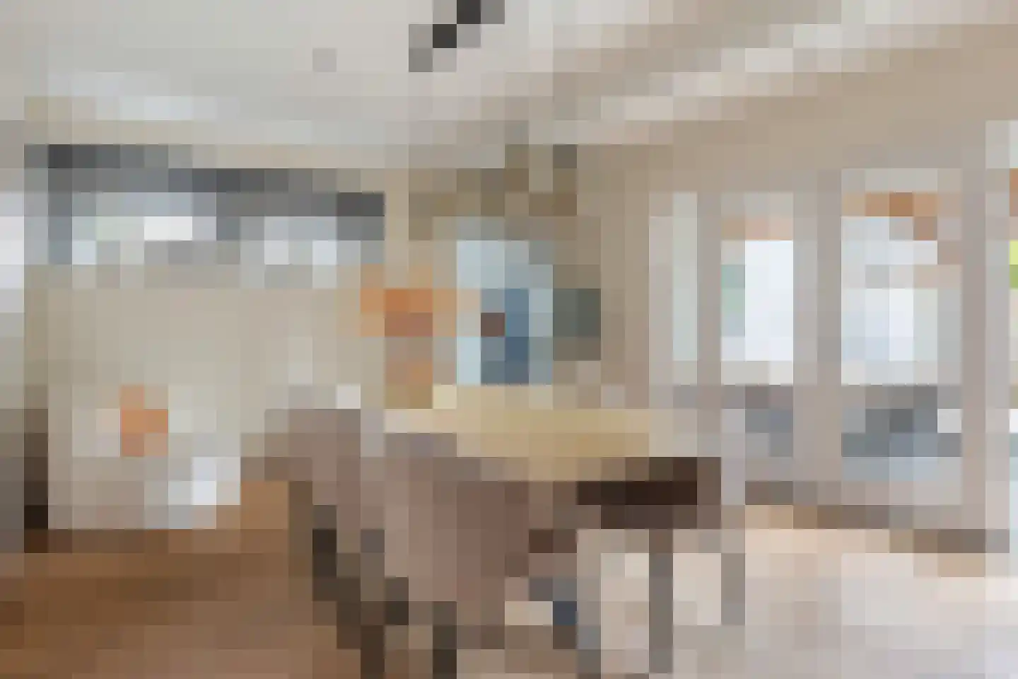 Driehuizerweg 21 Apeldoorn thumbnail 14
