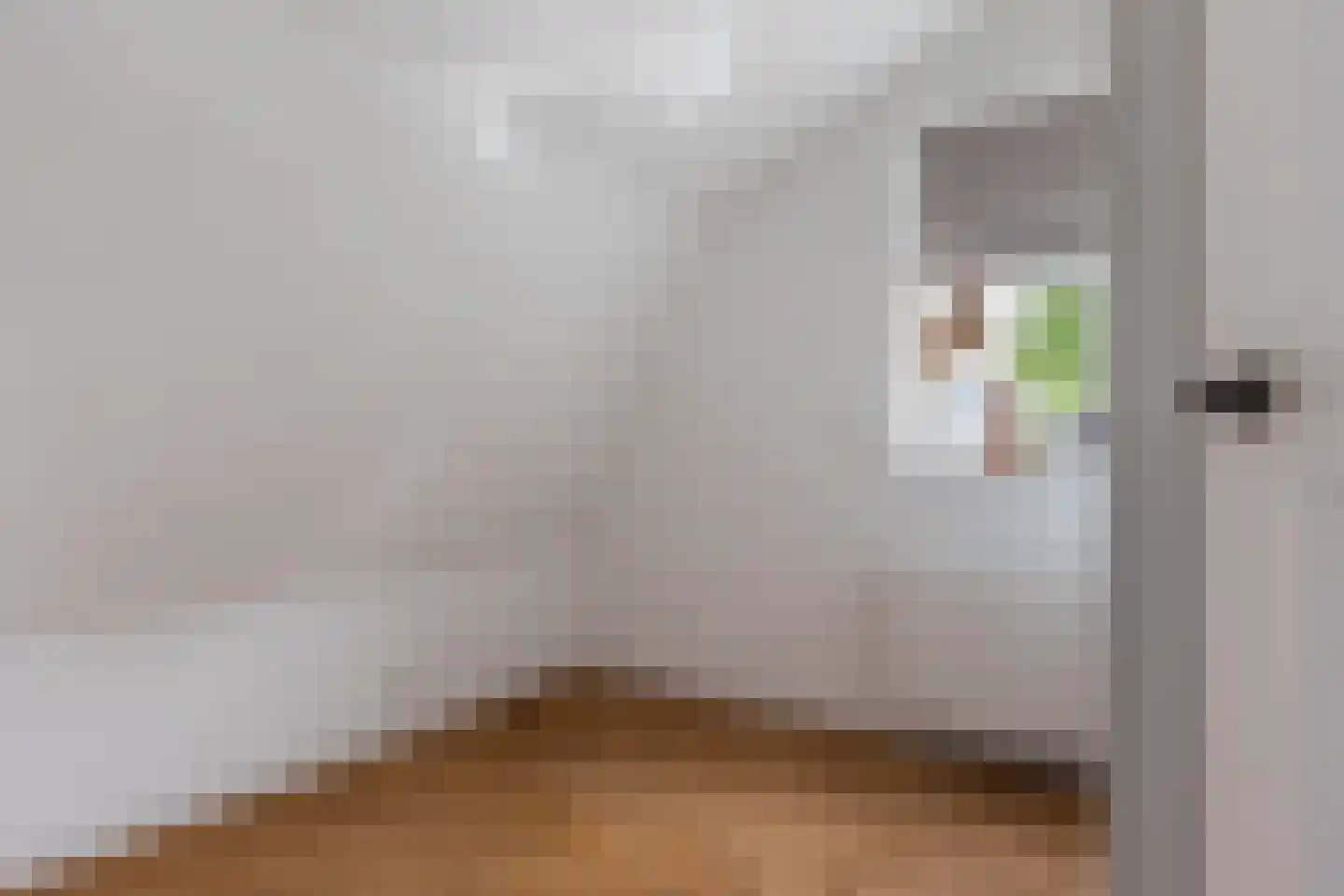 Driehuizerweg 21 Apeldoorn thumbnail 31