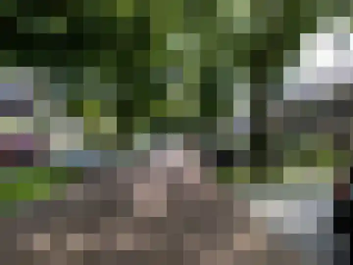 Driehuizerweg 310 Nijmegen thumbnail 50
