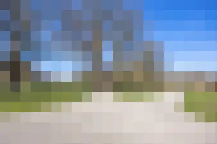 Driehuizerweg 310 Nijmegen thumbnail 52