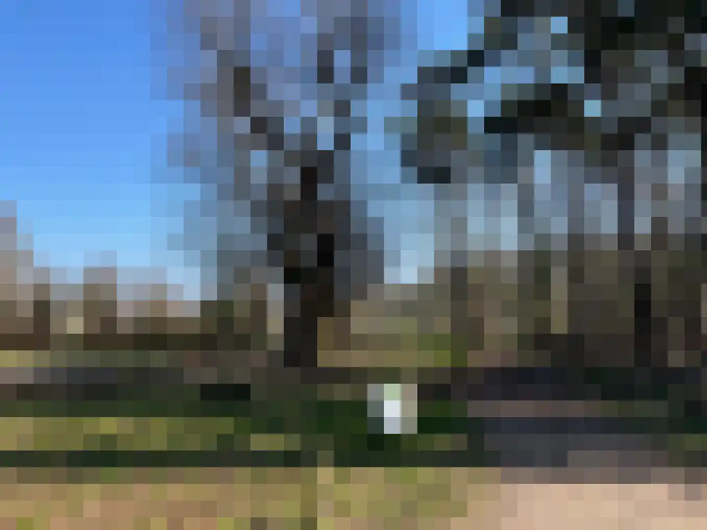Driehuizerweg 310 Nijmegen thumbnail 54