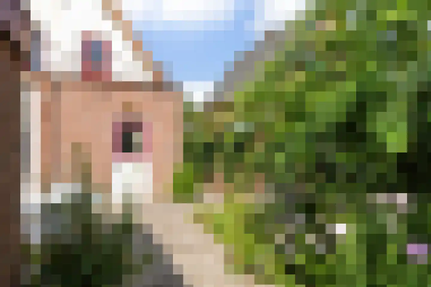 Driehuizerweg 33 Apeldoorn thumbnail 11