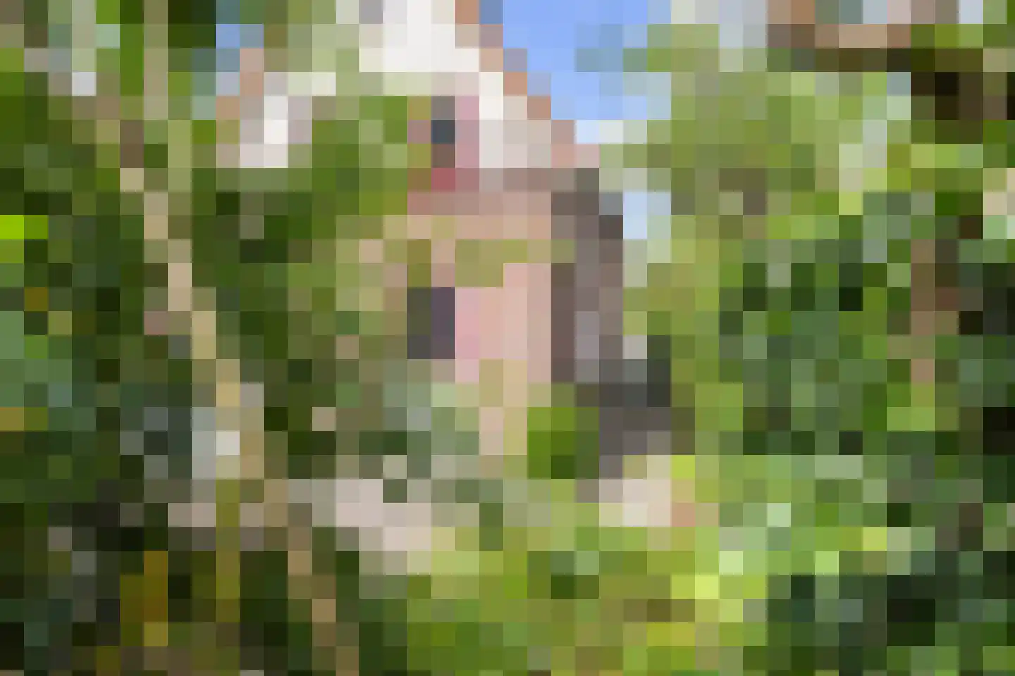 Driehuizerweg 33 Apeldoorn thumbnail 12