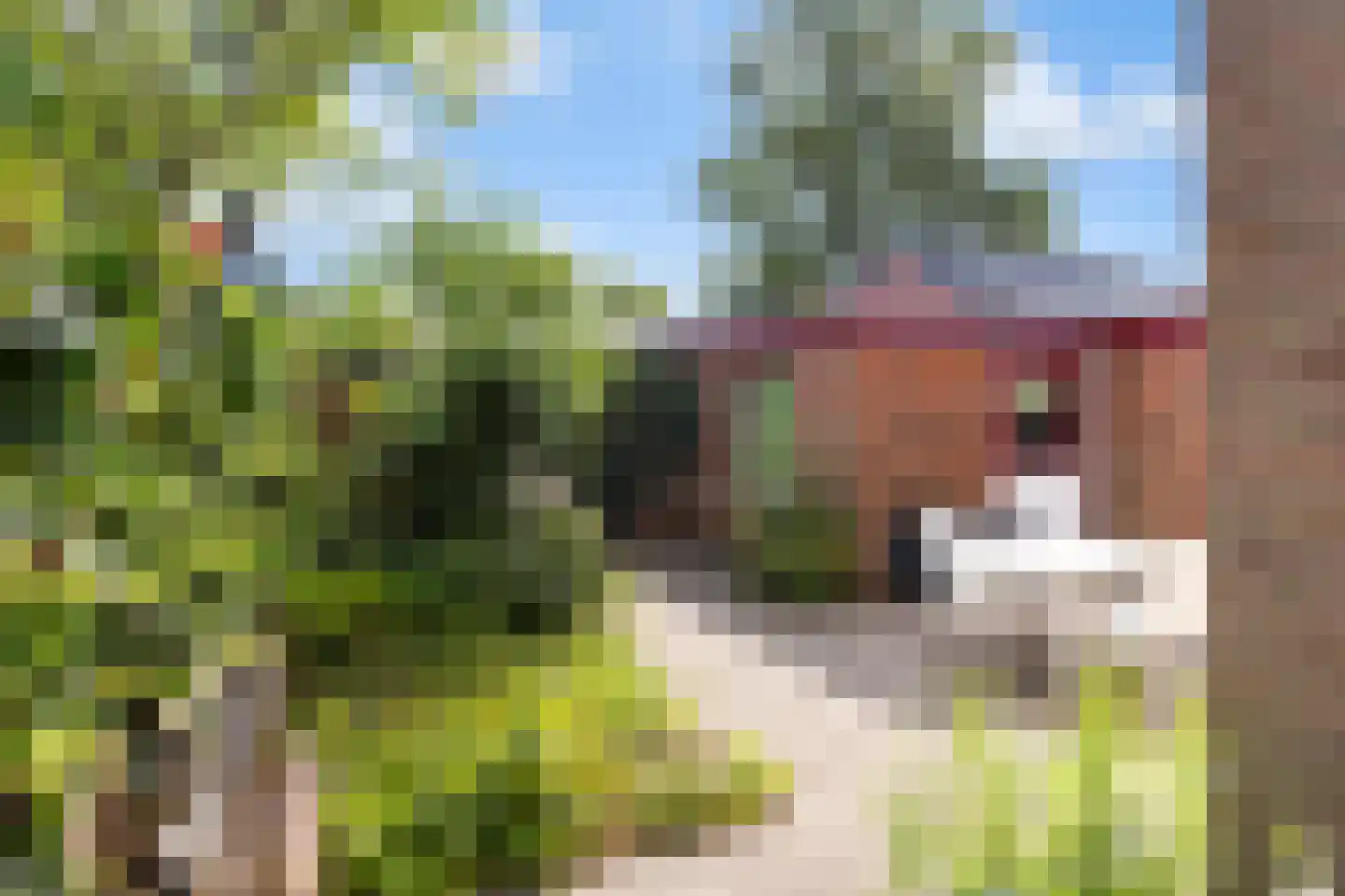 Driehuizerweg 33 Apeldoorn thumbnail 14