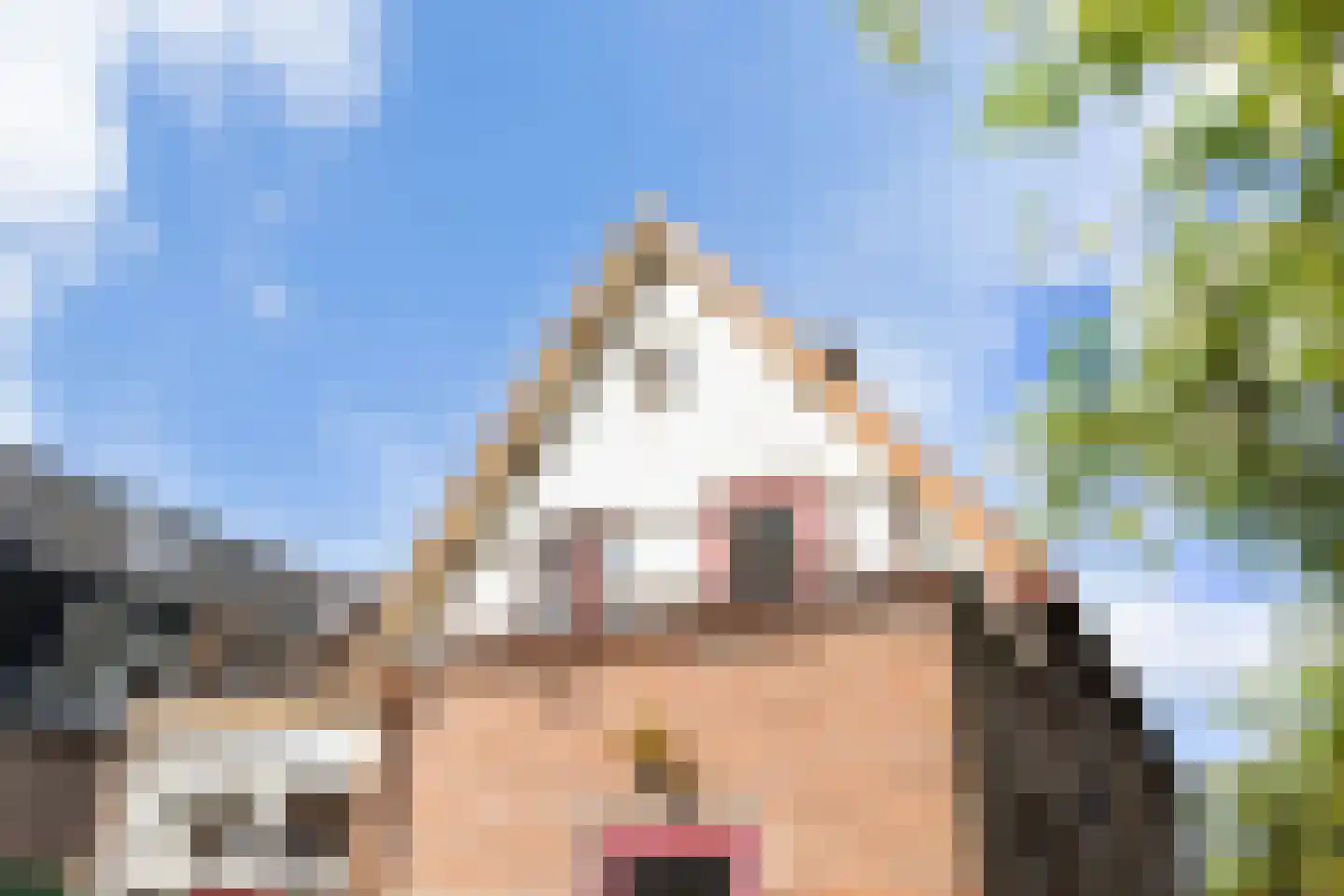 Driehuizerweg 33 Apeldoorn thumbnail 15