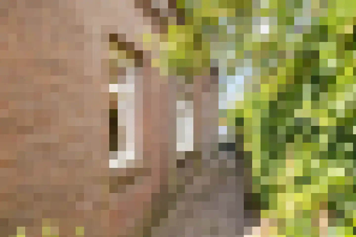 Driehuizerweg 33 Apeldoorn thumbnail 17
