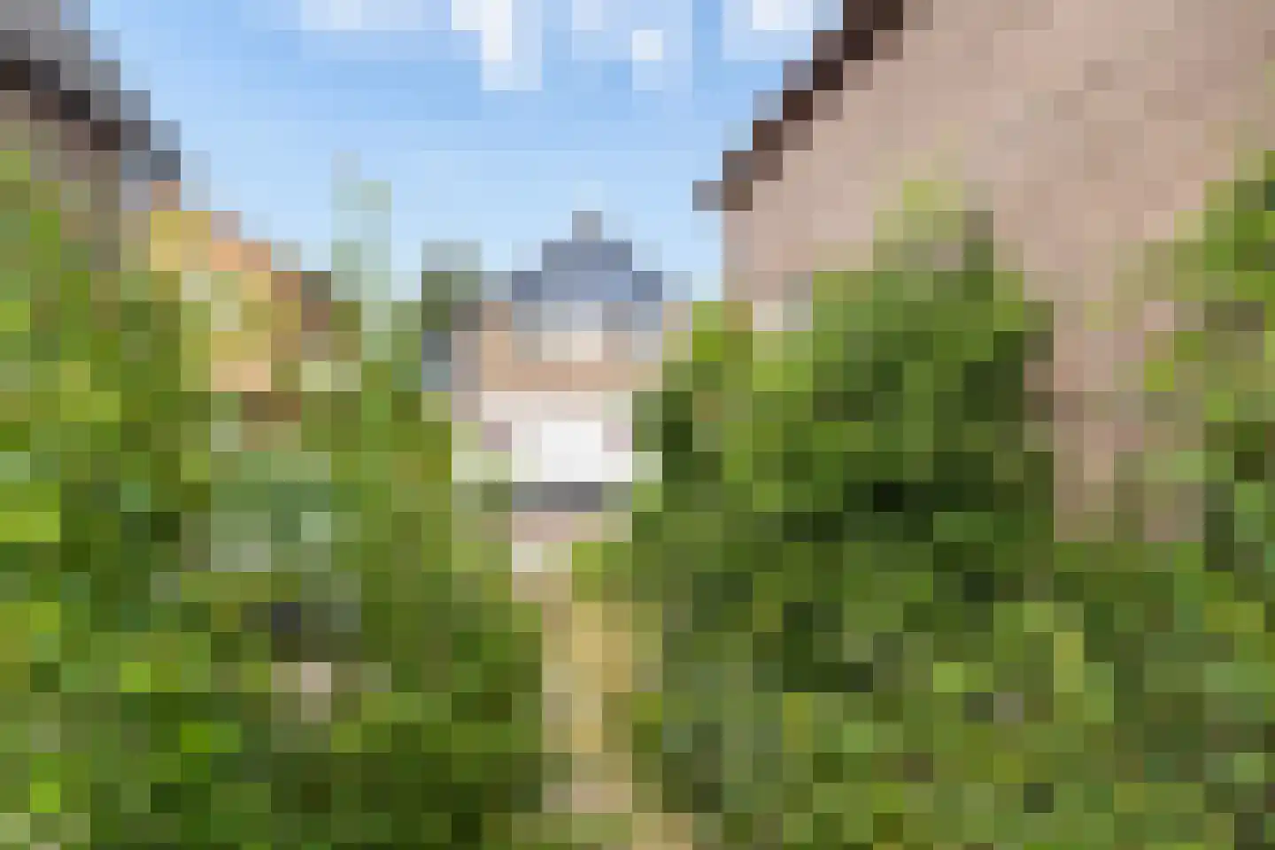 Driehuizerweg 33 Apeldoorn thumbnail 18