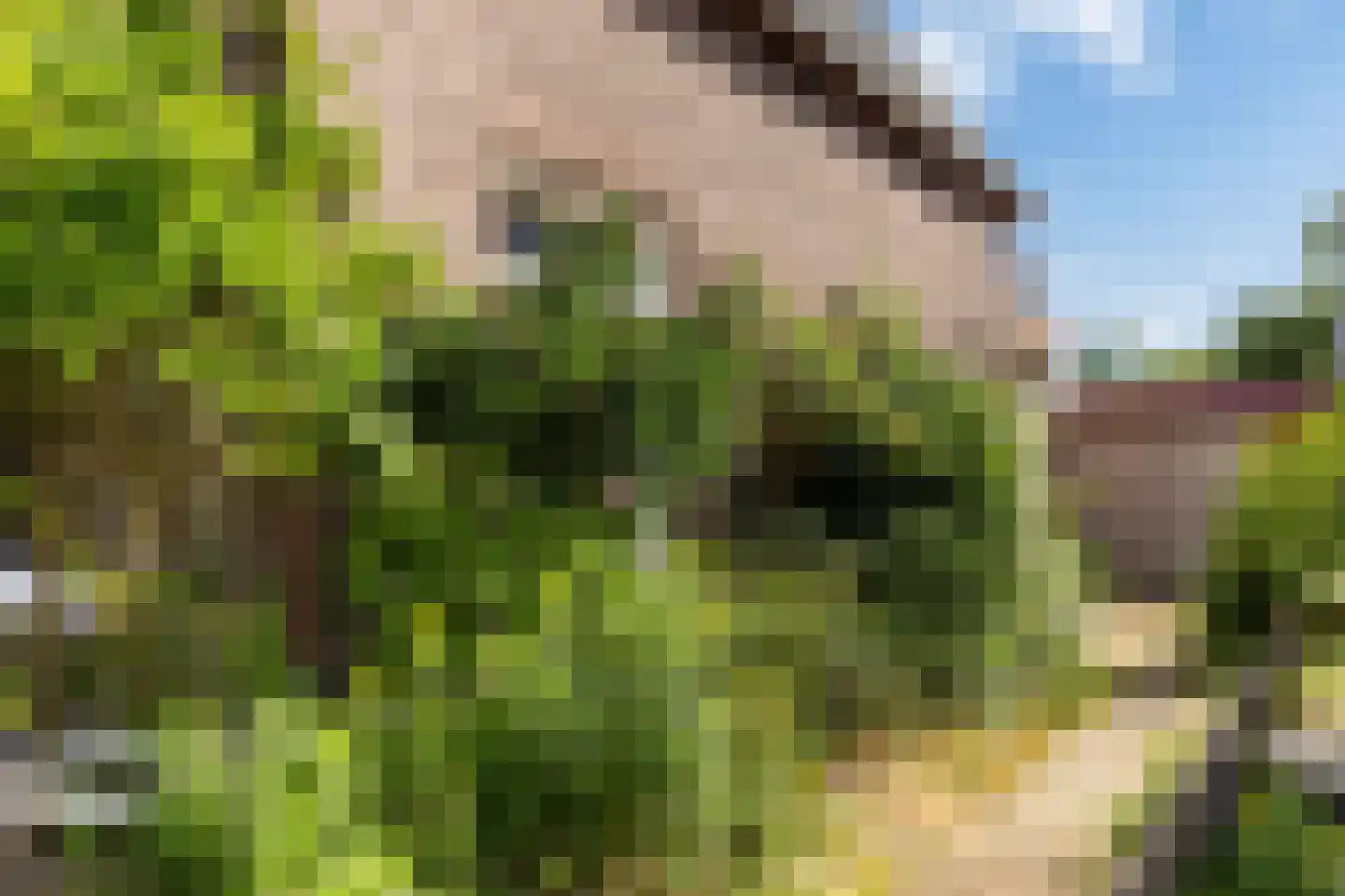 Driehuizerweg 33 Apeldoorn thumbnail 19