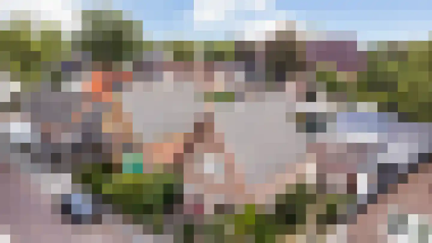 Driehuizerweg 33 Apeldoorn thumbnail 30