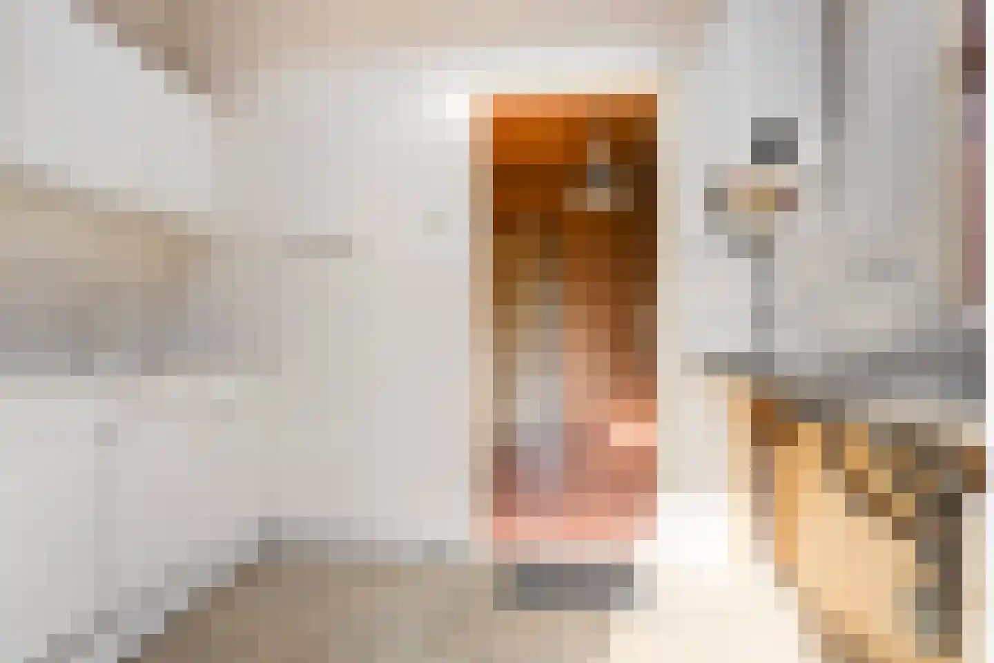 Driehuizerweg 33 Apeldoorn thumbnail 7