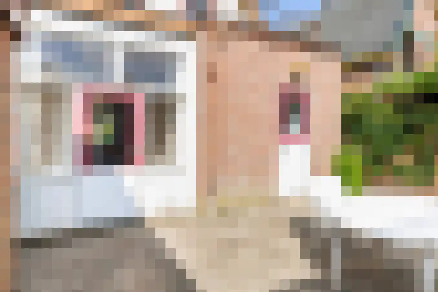 Driehuizerweg 33 Apeldoorn thumbnail 9