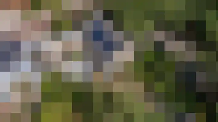 Driehuizerweg 380 Nijmegen thumbnail 6