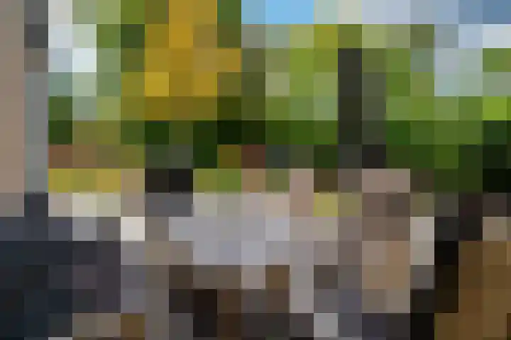 Driehuizerweg 380 Nijmegen thumbnail 62