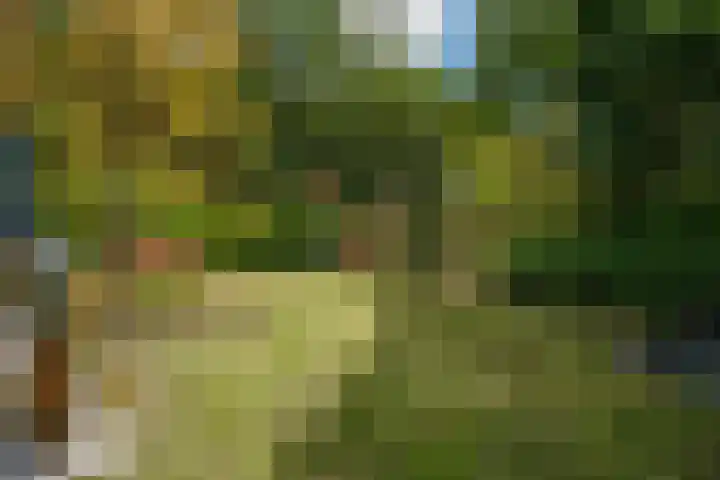Driehuizerweg 380 Nijmegen thumbnail 65