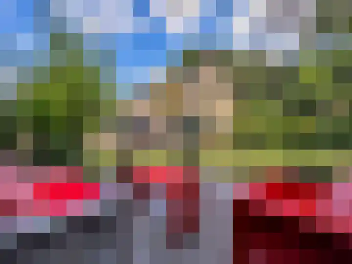 Driehuizerweg 380 Nijmegen thumbnail 69