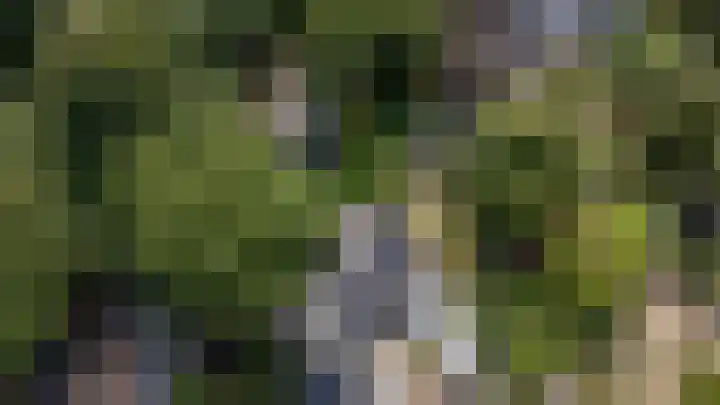 Driehuizerweg 380 Nijmegen thumbnail 72