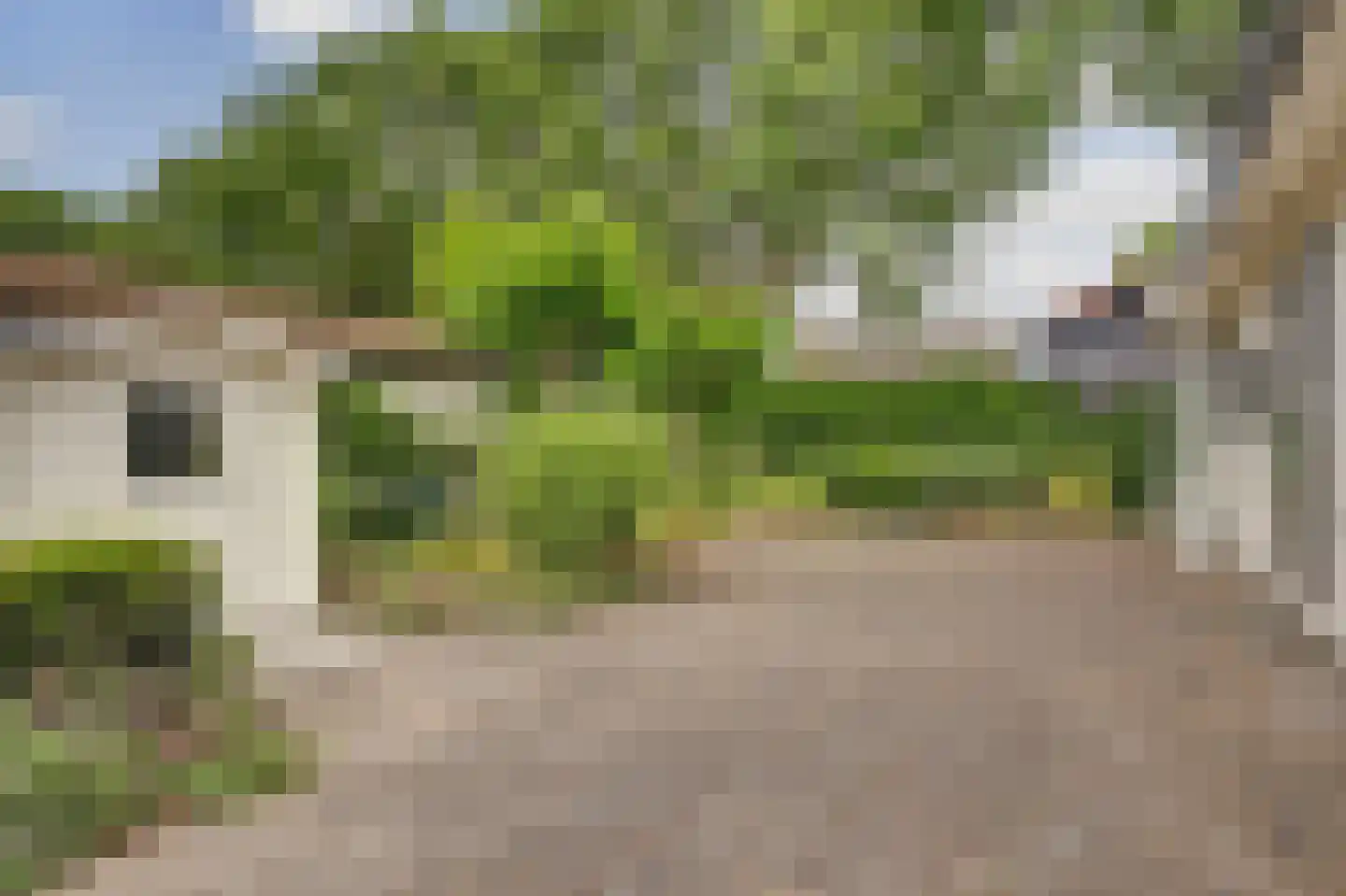 Driehuizerweg 8 013 Egmond aan den Hoef thumbnail 23