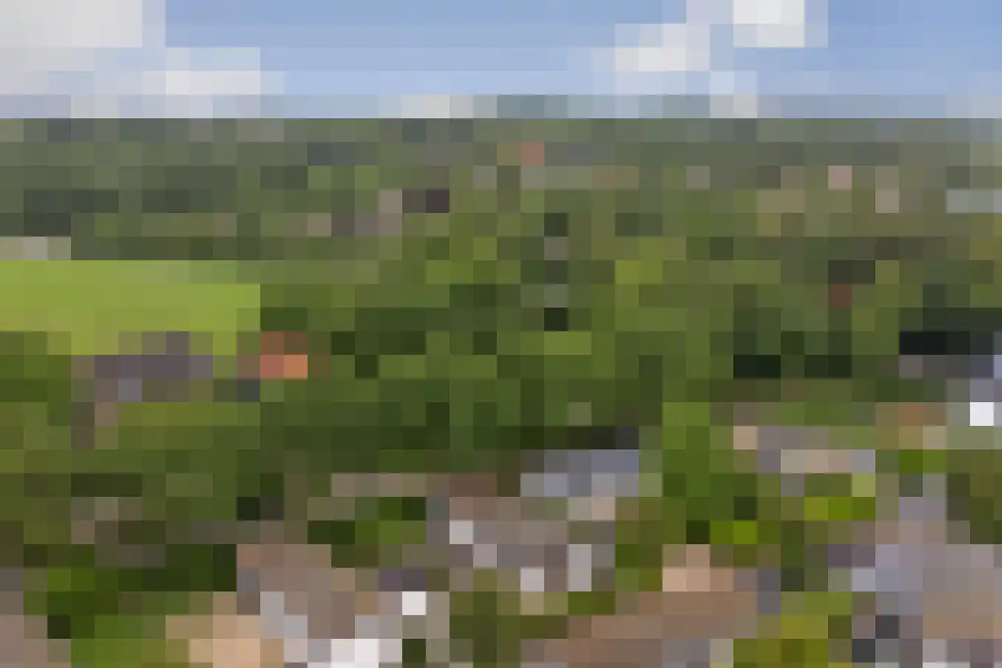 Driehuizerweg 8 013 Egmond aan den Hoef thumbnail 29
