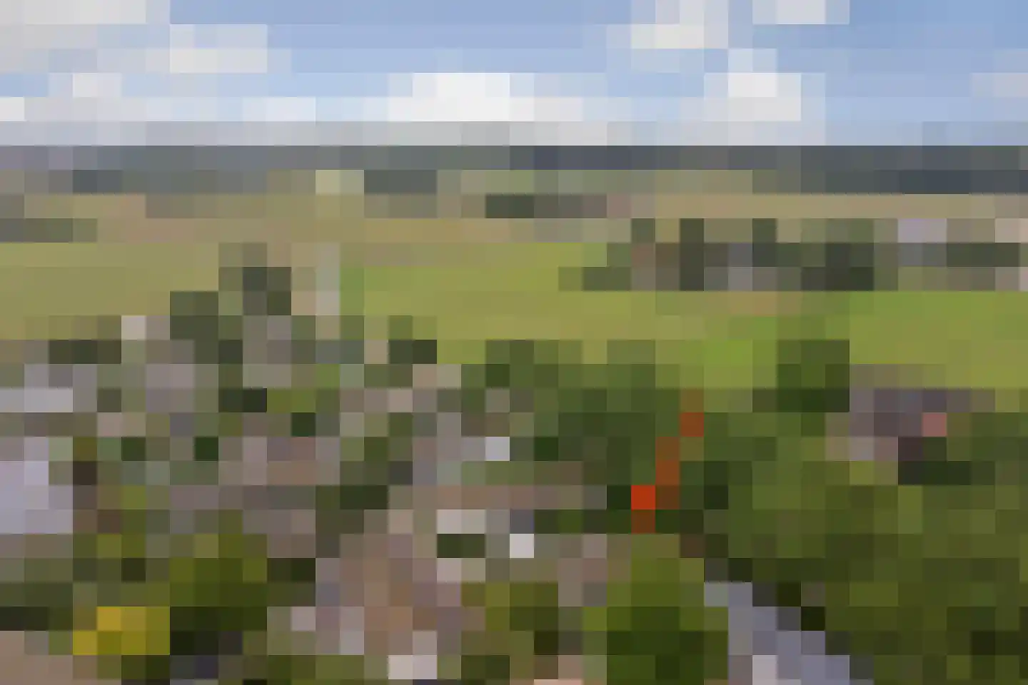 Driehuizerweg 8 013 Egmond aan den Hoef thumbnail 30
