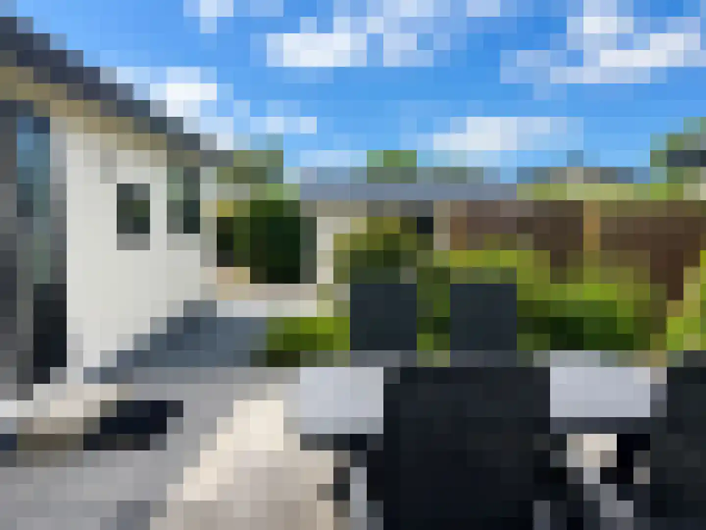 Driehuizerweg 8 083 Egmond aan den Hoef thumbnail 19