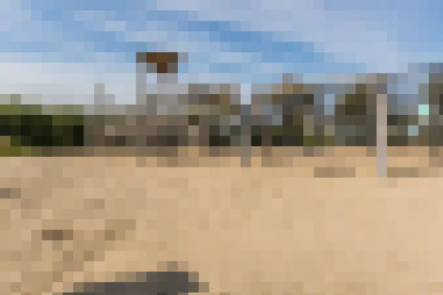 Driehuizerweg 8 083 Egmond aan den Hoef thumbnail 26
