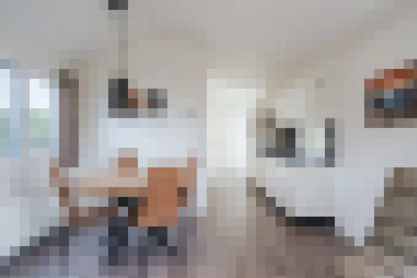 Driehuizerweg 8 138 Egmond aan den Hoef thumbnail 11