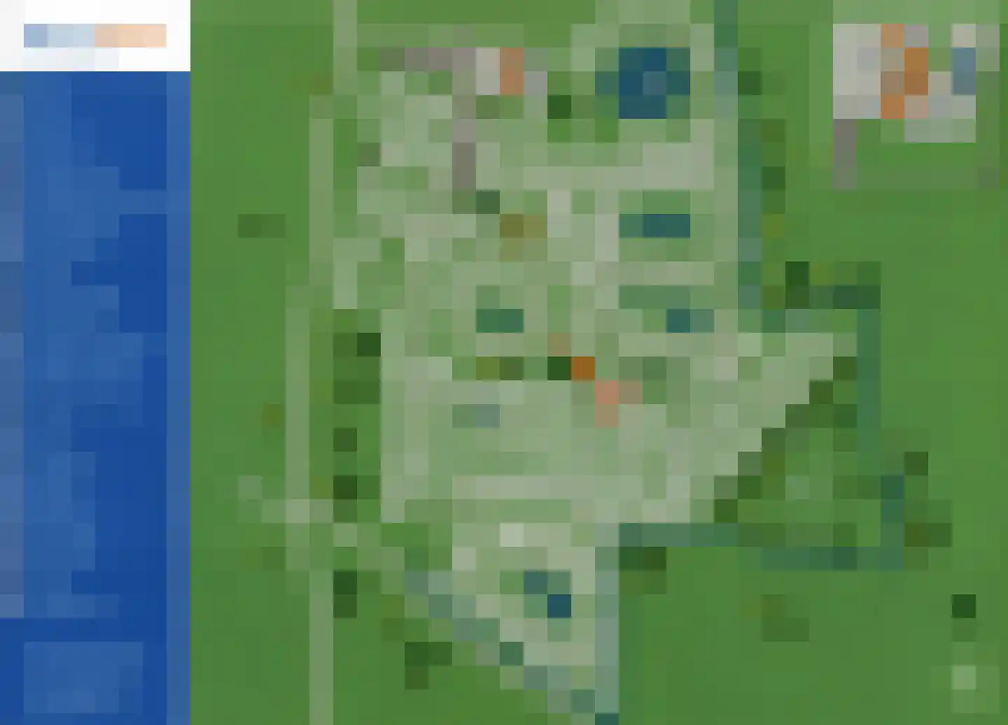 Driehuizerweg 8 138 Egmond aan den Hoef thumbnail 24